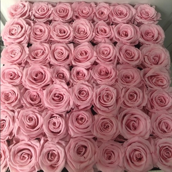 Venus Fleur Flowers